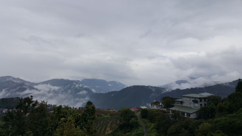 Gallery Image 15